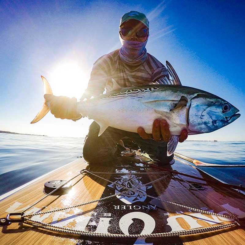 "Successful false albacore catch with a fly rod displayed on Pau Hana Surf Supply Angler fishing SUP in New England coastal waters"