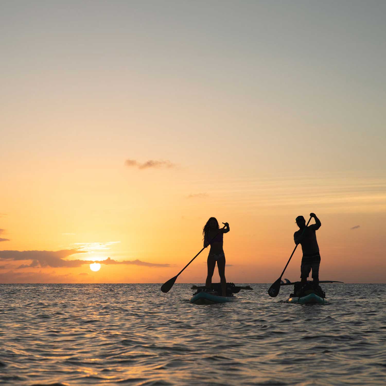 two paddleboarders paddling at sunset on the ocean