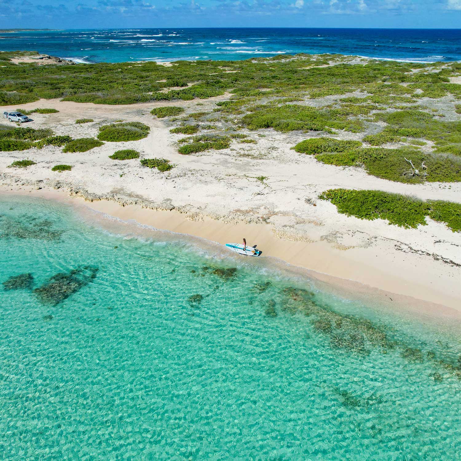 a person carrying a paddleboard down a beach in barbuda with clear waters and shrubery in the background