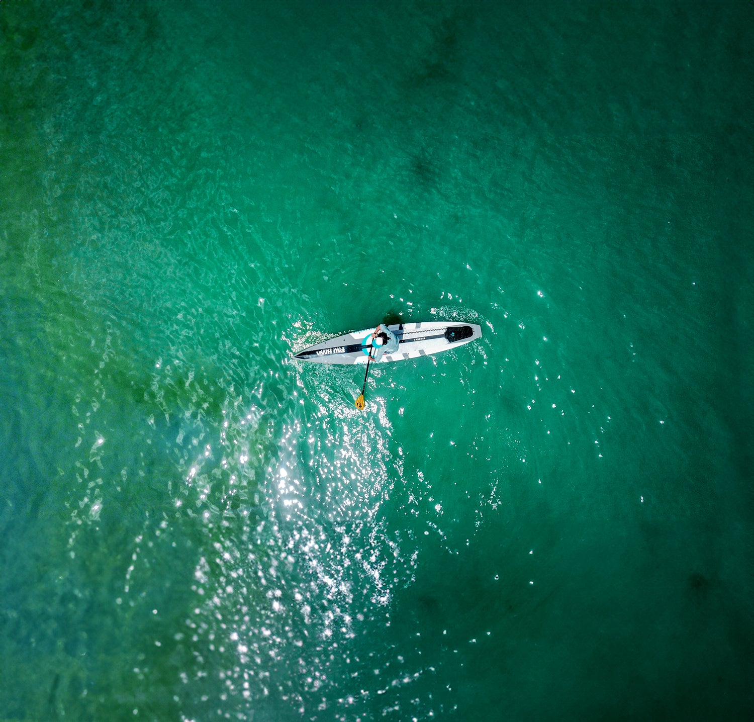 an aerial image of a person on a paddleboard on green water