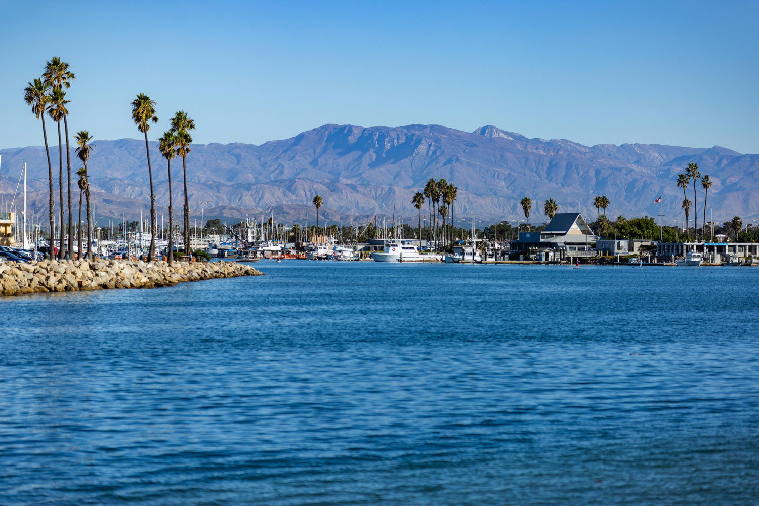A lake in california with mountains in the background, sailboats and palm trees