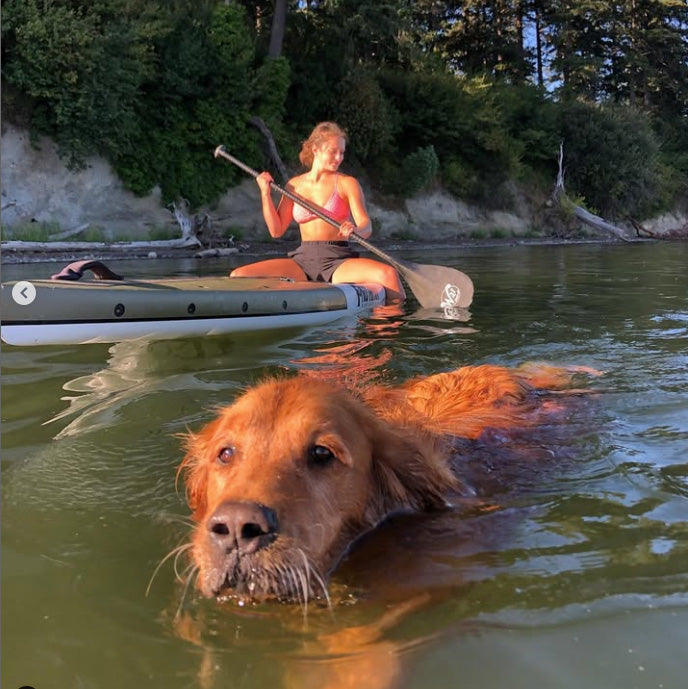 "Pau Hana Endurance SUP in action with dog companion swimming alongside, highlighting board's versatile 12'0" touring design"