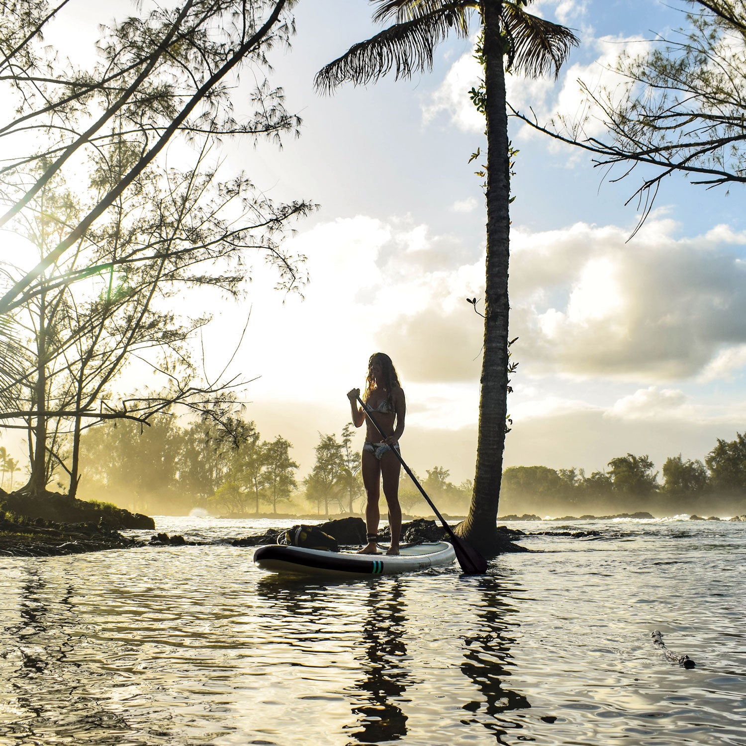 a woman paddleboarding through palm trees with mist coming off the water in the background