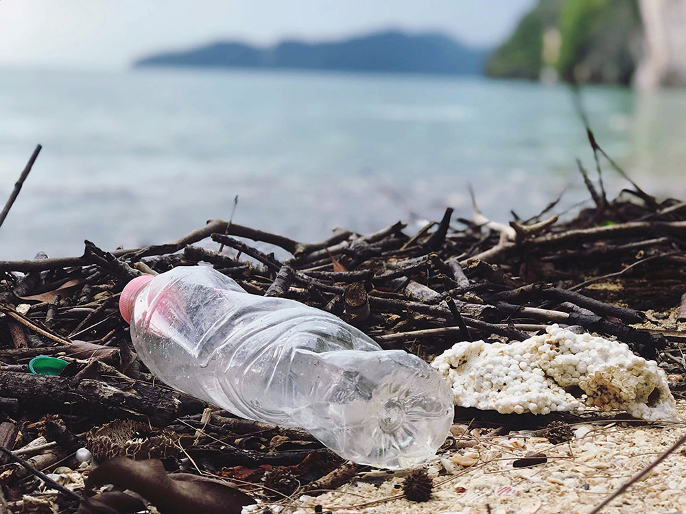 a plastic bottle and some trash washed up on a beach among sticks