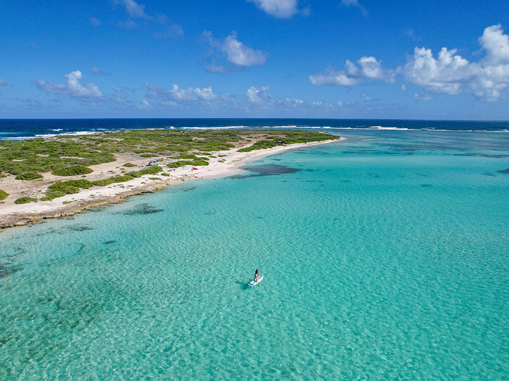 paddleboarding over crystal clear water next to a white sand beach in a tropical location