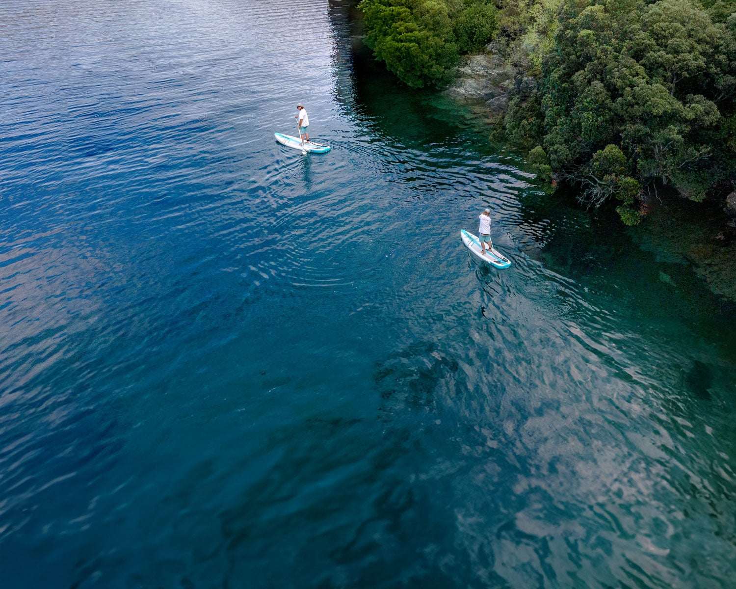 Paddleboarding the Redwood Coast Lagoons: A NorCal Guide