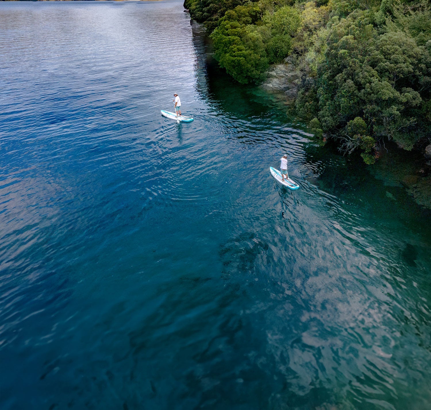 Paddleboarding the Redwood Coast Lagoons: A NorCal Guide