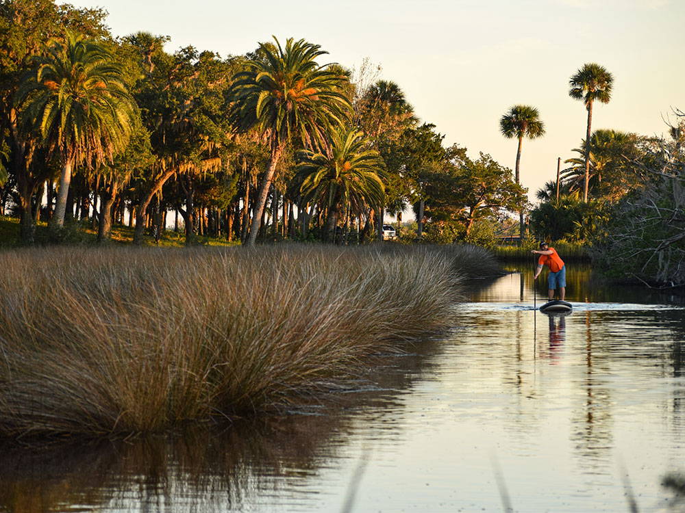 The Health Benefits of Paddle Boarding