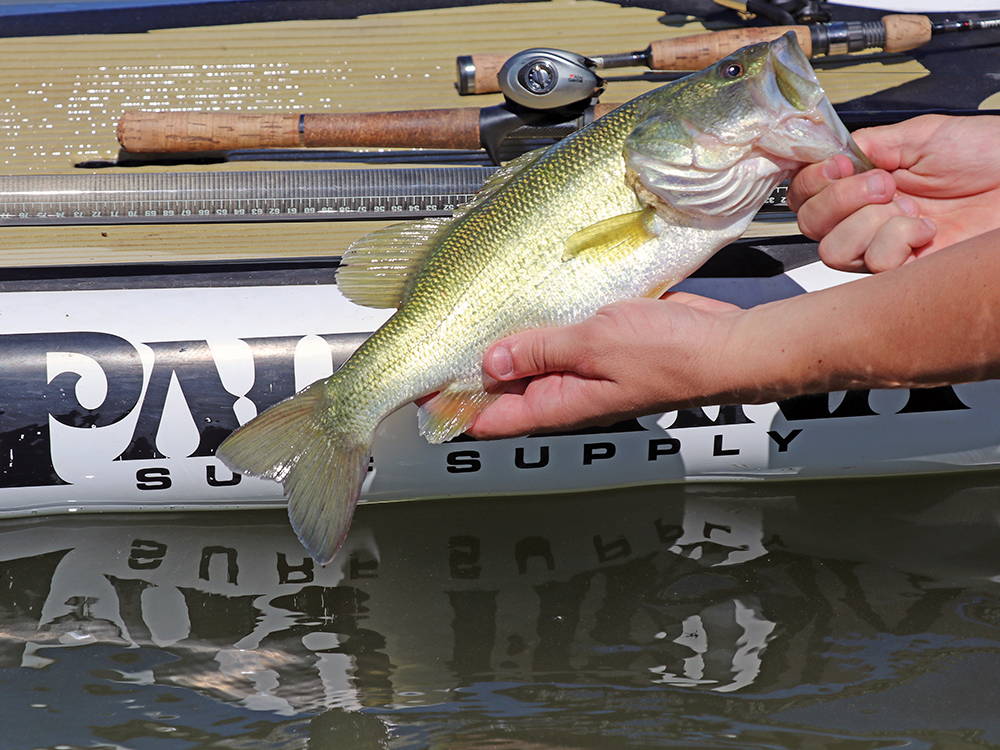 PRO TIP: Rigging your paddle board for fishing