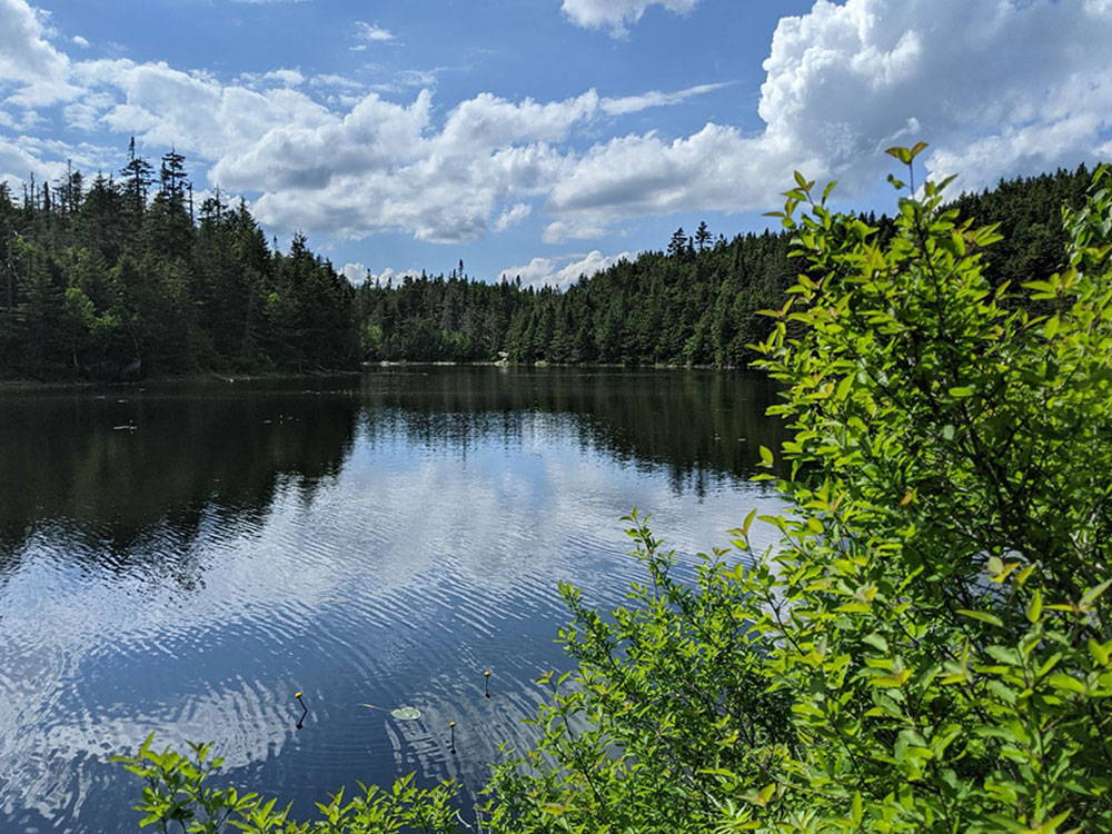 STIRLING POND, VT