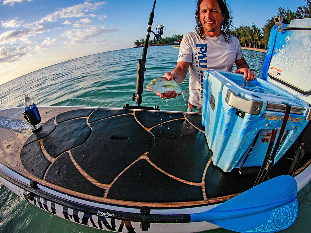 SURF: Catching Fish on Surf Waves