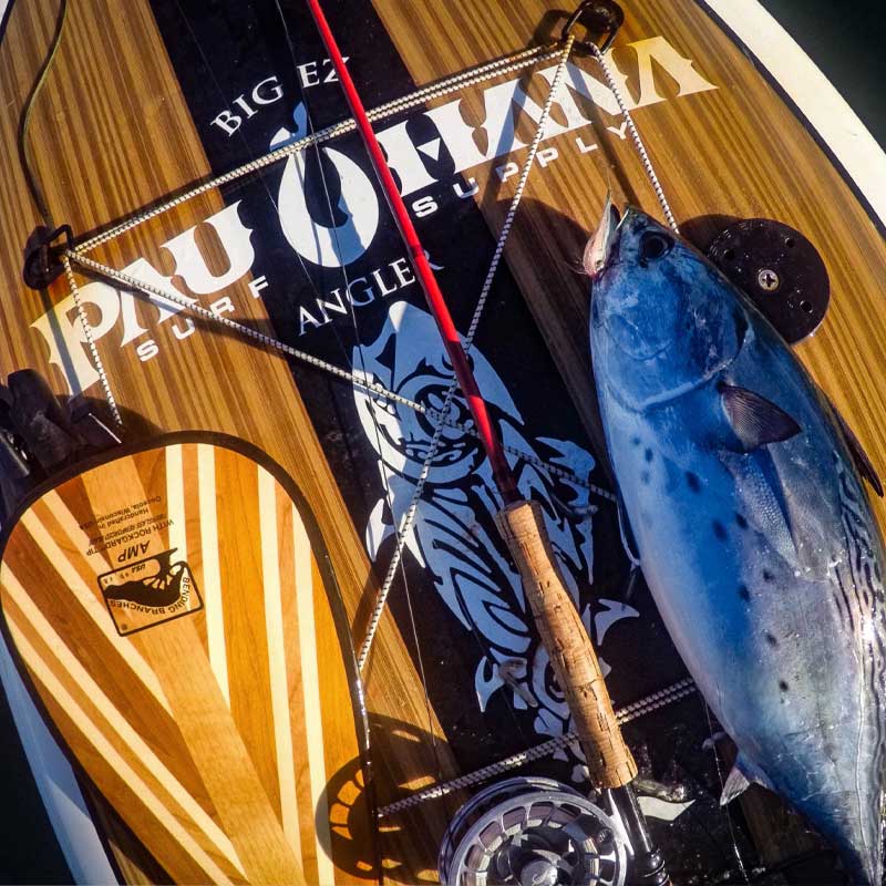 "Pau Hana Surf Supply 11'0" Big EZ Angler fishing SUP with fly rod setup and false albacore (albie) catch on bamboo deck in New England waters"