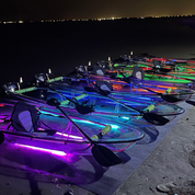 Nocqua Spectrum P2 Lighting system