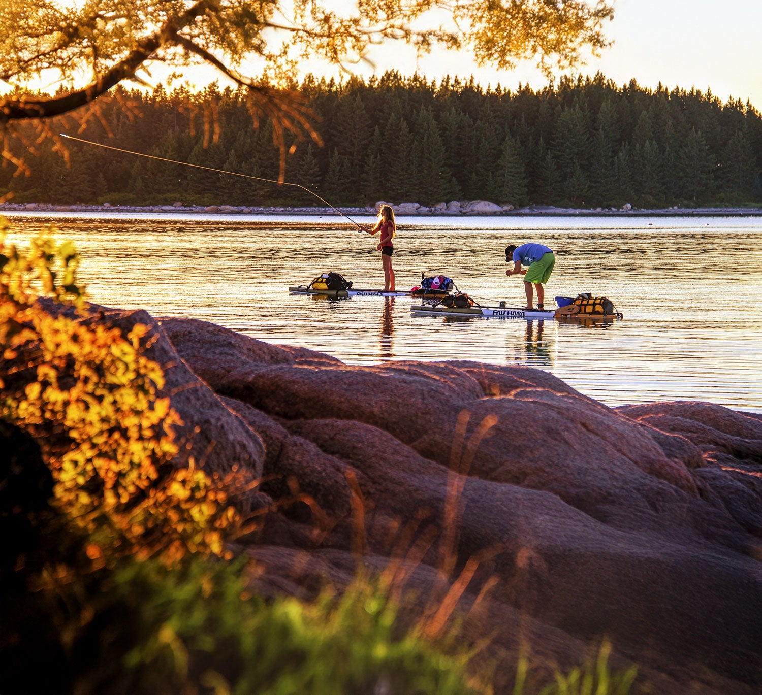 Two people on paddleboards on a lake at sunset with trees and rocks in the foreground.