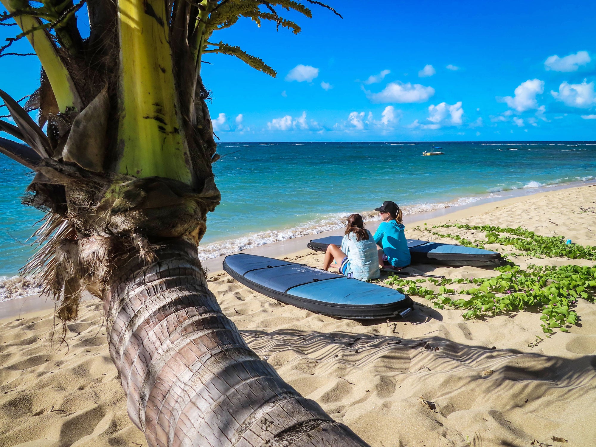 "Pau Hana Surf Supply SUPs in protective board bags on beach - showing palm-lined shore and paddlers relaxing by turquoise waters"