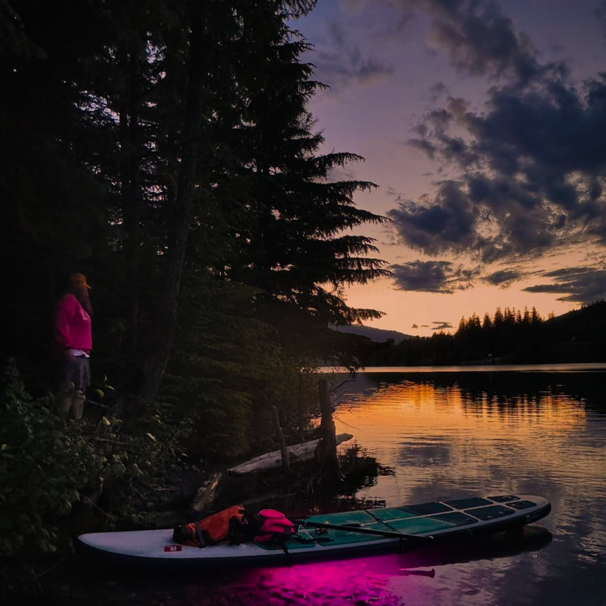 Nocqua Spectrum P2 Lighting system