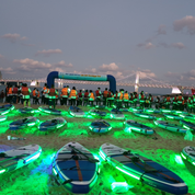 Nocqua Spectrum P2 Lighting system