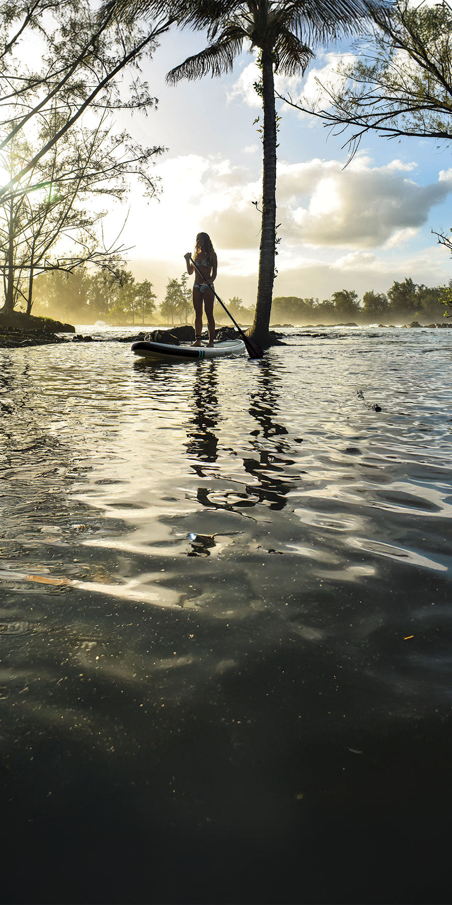 Person paddleboarding on a calm body of water with palm trees in the background