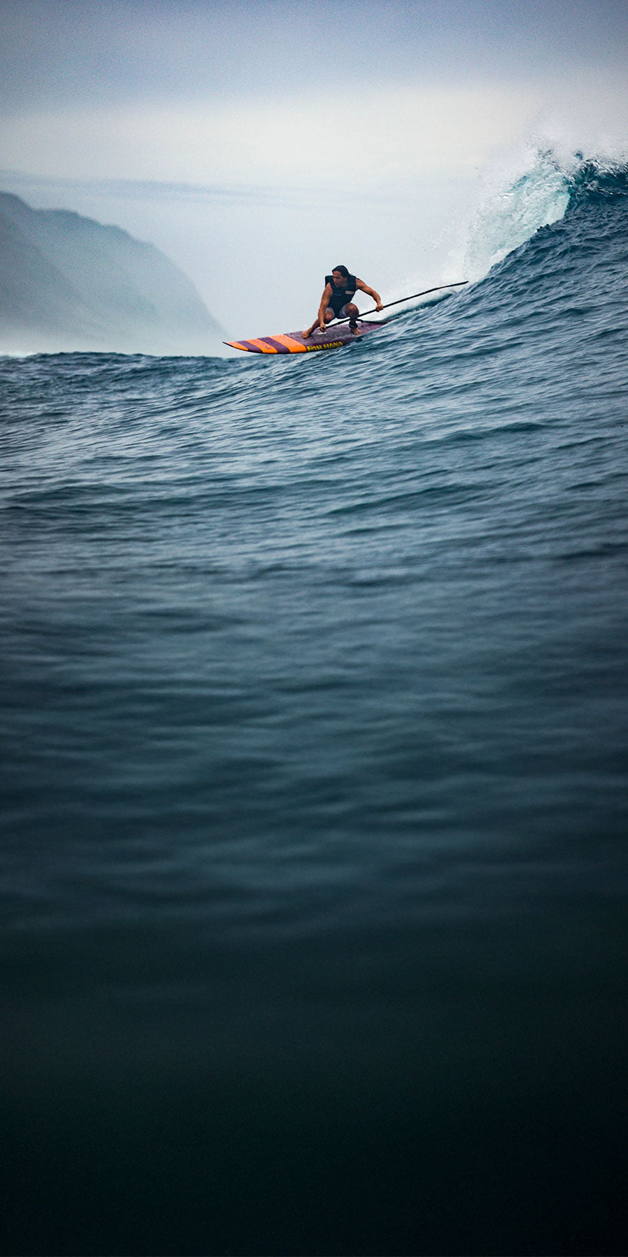 8'6 | Carve Pro Surf SUP – Pau Hana Surf Supply