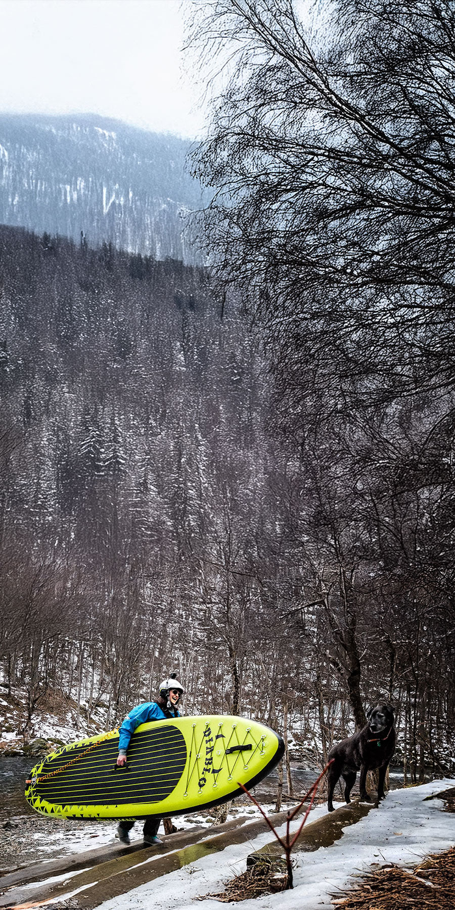 Person holding a yellow paddleboard with a dog on a snowy trail in a forested area.