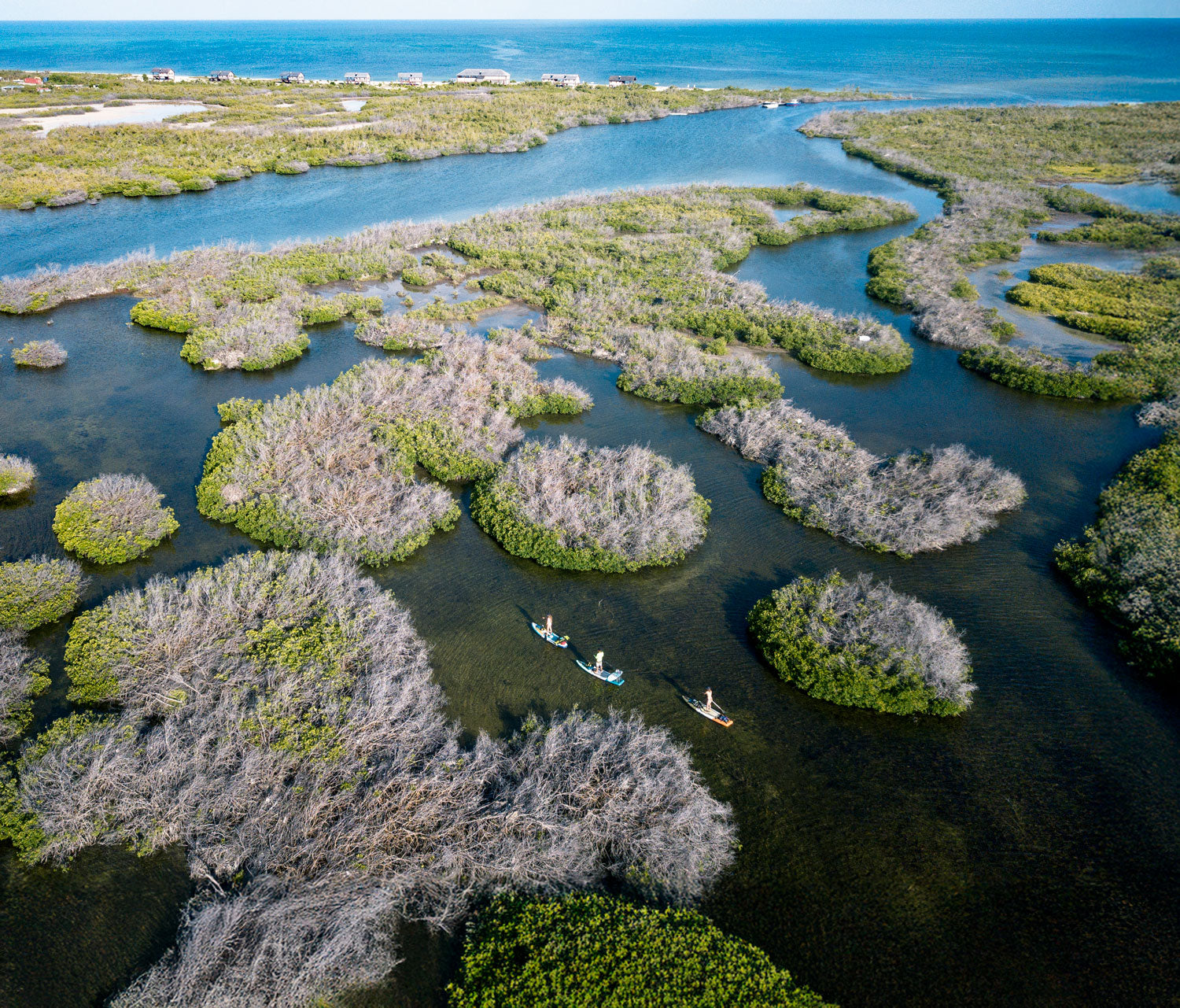 Aerial view of a mangrove forest with people on sups on a clear day.