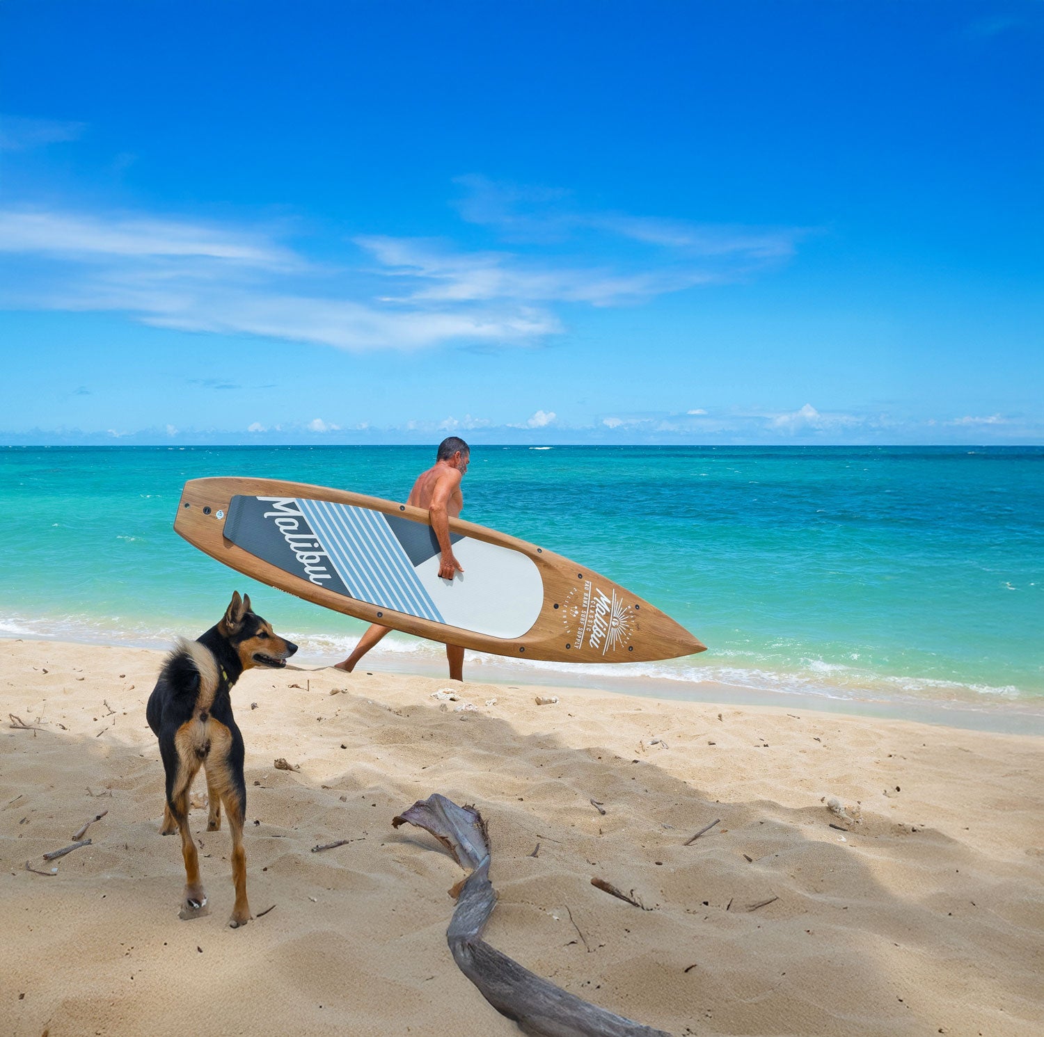 Person carrying a paddleboard with a dog on a beach