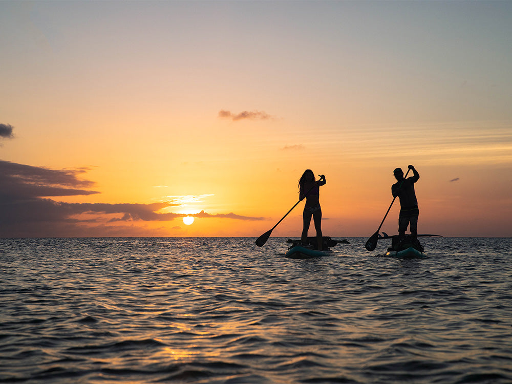 "Silhouetted paddlers on Pau Hana boards returning to shore at golden sunset"