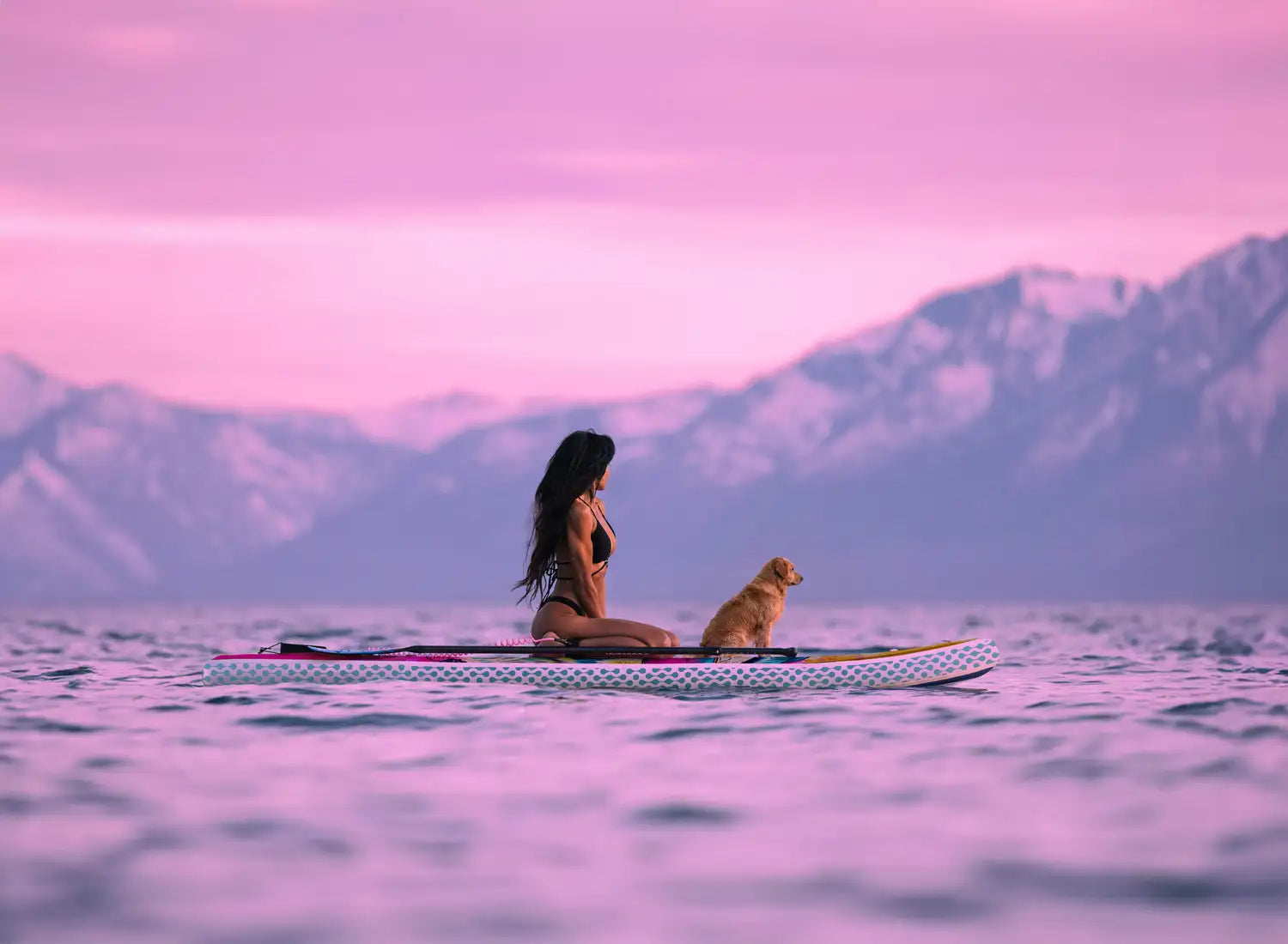 stowaway-paddling-with-a-dog.webp